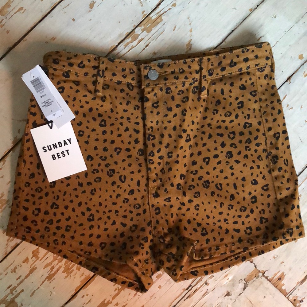Aritzia Sunday Best Shorts